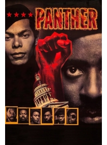 Panteras Negras 