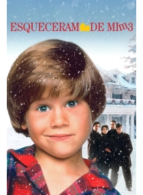 Esqueceram de Mim 3