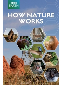 Como a natureza funciona 
