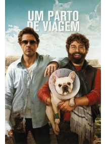 Um Parto de Viagem
