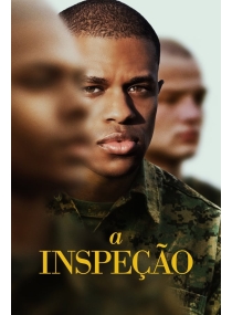 A Inspeção