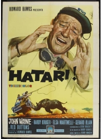 Hatari!