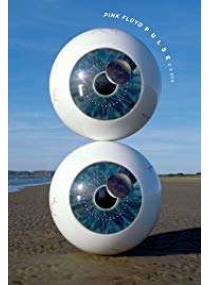 Pink Floyd Pulse (DVD Duplo)
