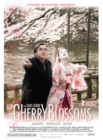 Hanami - Cerejeiras Em Flor