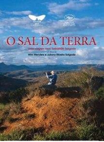 Sal da Terra