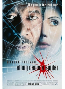 Na Teia de Aranha