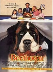 Beethoven - O Magnífico