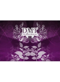 DMT - A Molécula do Espírito