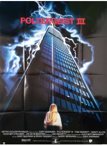 Poltergeist III: O Capítulo Final