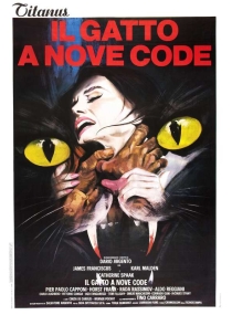 Gato de Nove Caldas