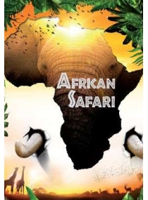 African Safari