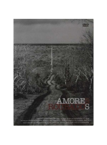 Amores Roubados (3 DVDs)