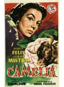 Camélia